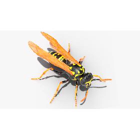 3D Paper Wasp Standing Pose